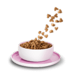 Huhn Kitten 800 g – Bild 2