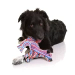 Hundespielzeug "outback tails" - Aussie Dessert Dog - Junior – Bild 2