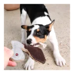 Hundespielzeug "outback tails" - Ernie der Emu – Bild 2