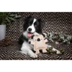 Hundespielzeug "outback tails" - Kevin der Koala – Bild 2