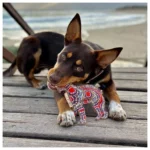 Hundespielzeug "outback tails" - Aussie Dessert Dog - Trevor – Bild 2