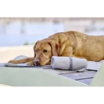 Kühlmatte watchout für Hunde Grösse S – Bild 3