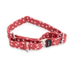 Martingale Hundehalsband M (II) Tangled Hearts