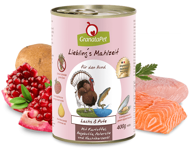 1_1_1_8_lachs-pute.png Lieblingsmahlzeit Lachs und Pute – Bild 1