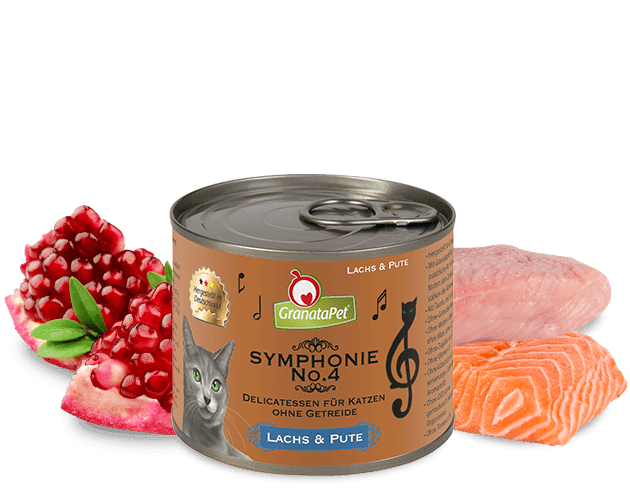 1_2_3_4_lachs-pute.png Symphonie Nr. 4 Nassfutter Lachs und Pute – Bild 1