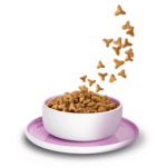 Truthahn Sterilised – Bild 2