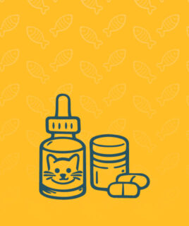 Ergaezungsfuttermittel Katze