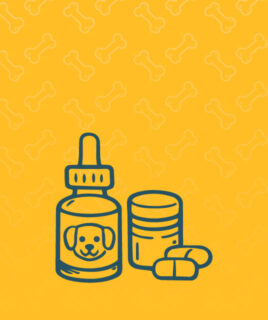 Ergaezungsmittel Hund