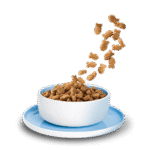 Fisch Adult – Bild 2