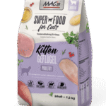 Cat Kitten Geflügel