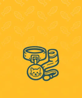 Zubehoer Katze