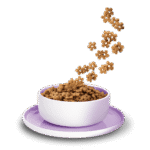 Ente Sensible – Bild 2