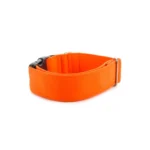 Hundehalsband mit Kunststoffklemme - 2 cm Neonorange – Bild 2
